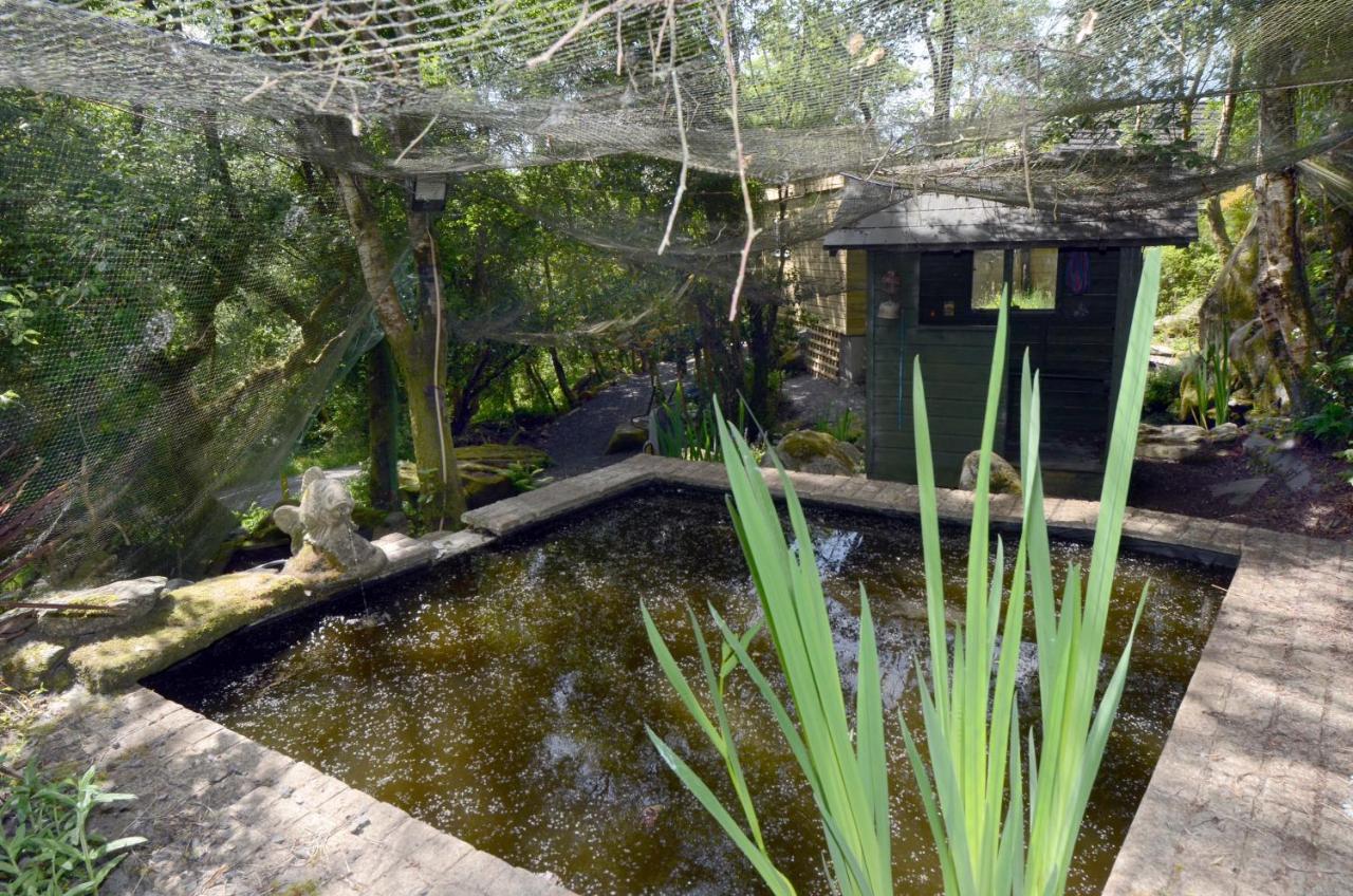 Tawny Lodge Westport Exterior foto