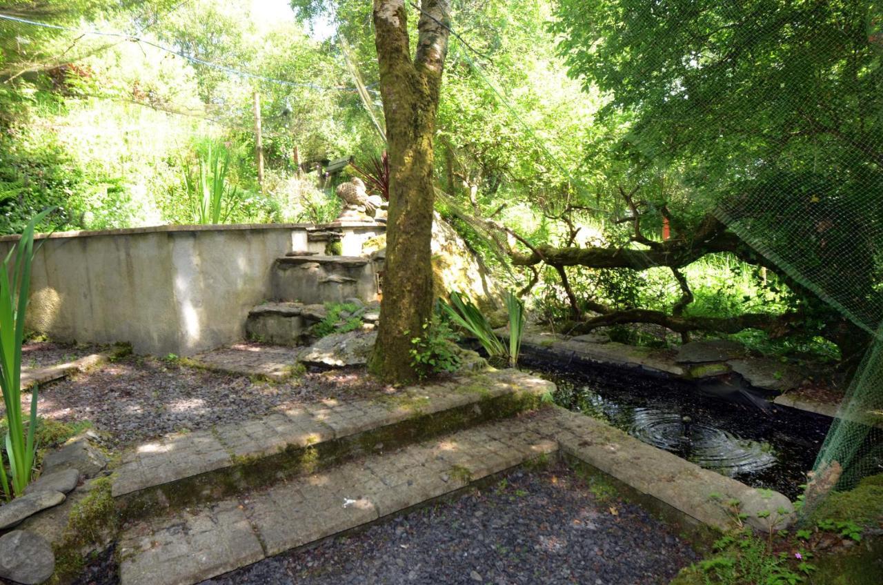 Tawny Lodge Westport Exterior foto